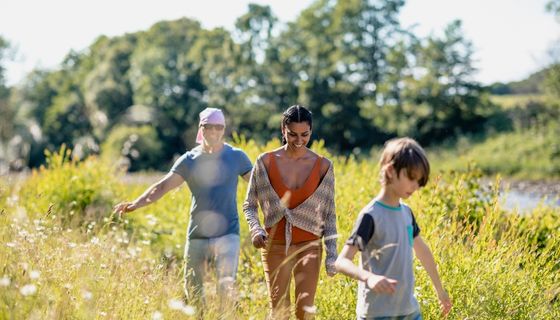 Entertainment Escapades: Discovering New Horizons of Fun and Enjoyment