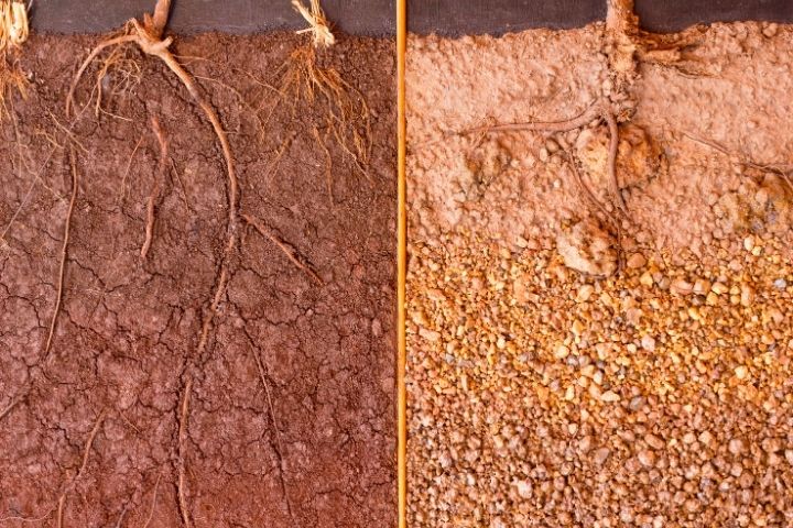 Why Choose an Airspade for Root Collar Excavations?